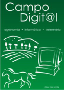 Campo Digital